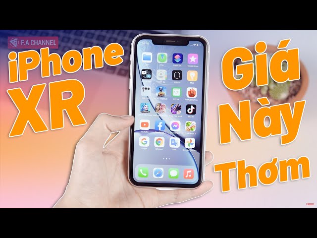 iPhone XR Giá Này Vô Đối Luôn - Cấu Hình, Trải Nghiệm, Pin, Camera Qúa Ngon Trong Năm 2022