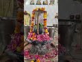 Shiv Chalisa Path Live highlight