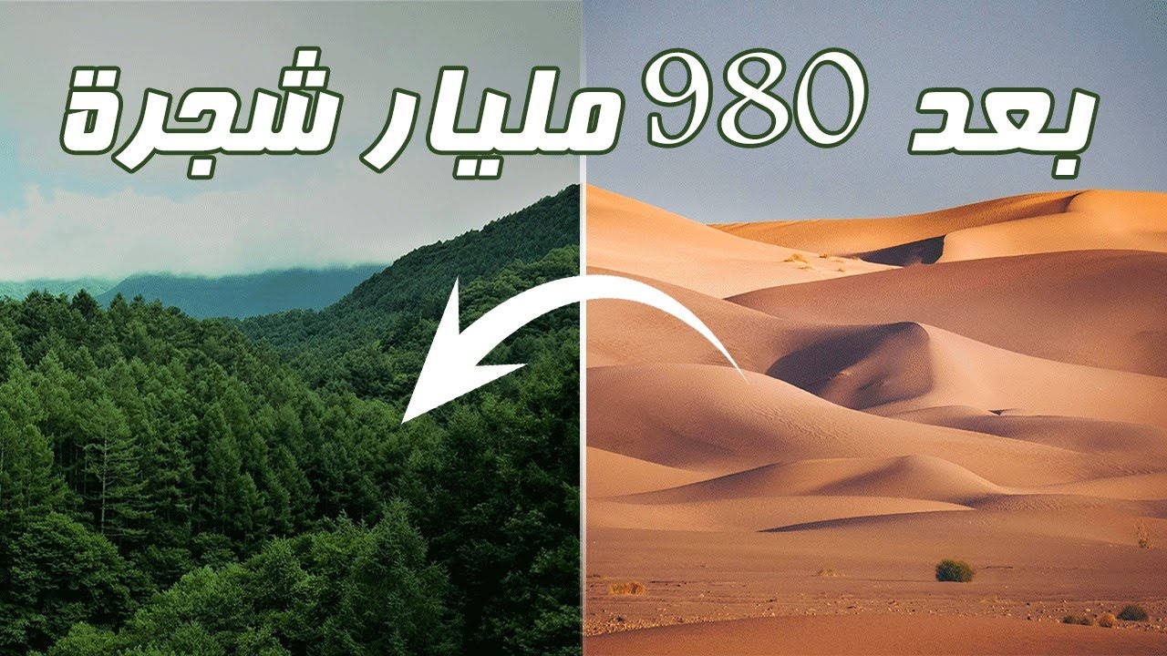 ماذا لو تحولت الصحراء الكبرى إلى غابات خضراء !!