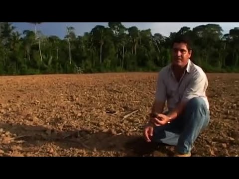 environment-vs-development-|-amazon:-truth-and-myth-|-bbc