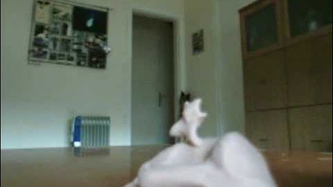 PS3 EYE Stop Motion Test