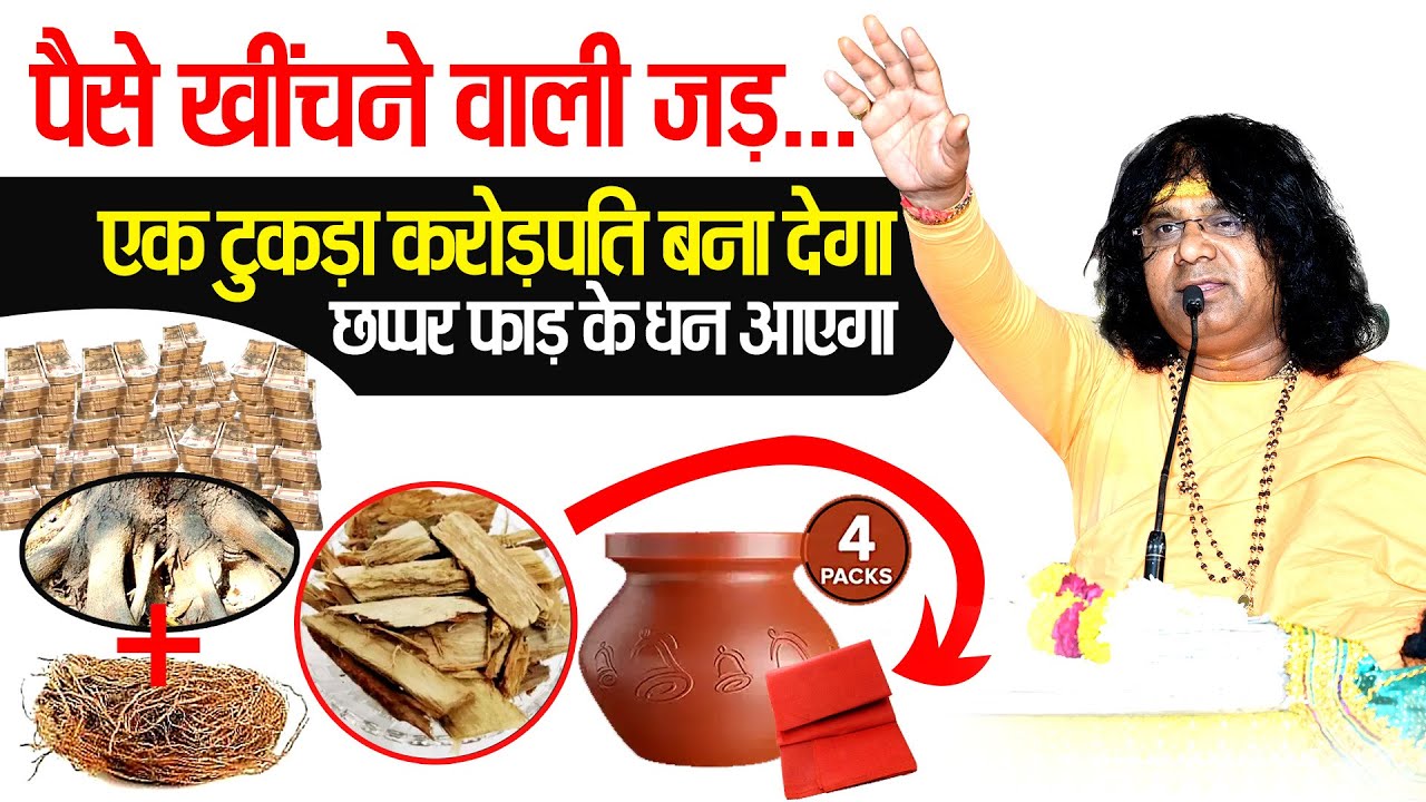 पैसे खींचने वाली जड़...एक टुकड़ा करोड़पति बना देगा, छप्पर फाड़ के धन आएगा  | Shri Kaushik Ji Maharaj