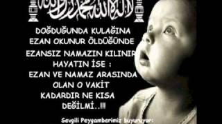 Cavid & Ceyhun - Sen kimsen.wmv