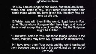 John 17 - English l Audio & Scripture l NKJV