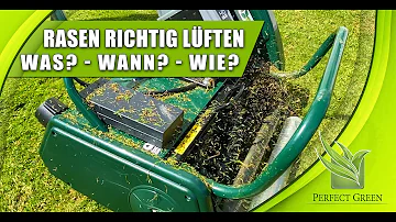 Wann soll man den Rasen lüften?