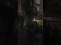 Bheegta Ravan in delhi #trending #shortvideo #funnyvideo #dussehra