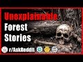 Forest rangers share their creepy and unexplainable stories (r/AskReddit - Reddit Scary Stories)