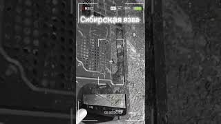 Сибирская язва #компьютер #pc #пк #техника #computer #сибирь #радиация #припять #чернобль #обзор