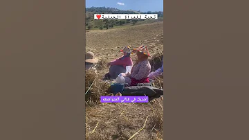 Ouazzane Explore جبلية Nature وزان Music العايلة Love جبلية بالمنديل والشاشية Culture 