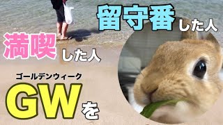 海辺で野草ハント！GWは留守番多めのうさぎにオヤツのプレゼント #436