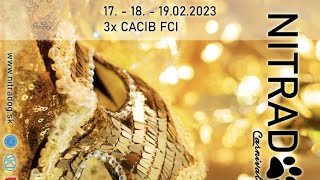 FCI / CACIB dog show in NITRA Slovakia 18th Feb. 2023 by JOEL COOLDOGS 950 views 1 year ago 42 minutes