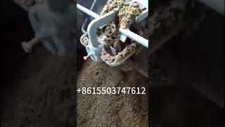 Pig manure dewatering machine Cow dung dryer Chicken poultry dewatering solid liquid separation