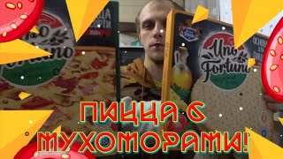 Готовим Пиццу С Мухоморами, Никита Походу Не Знает Как Готовится Пицца