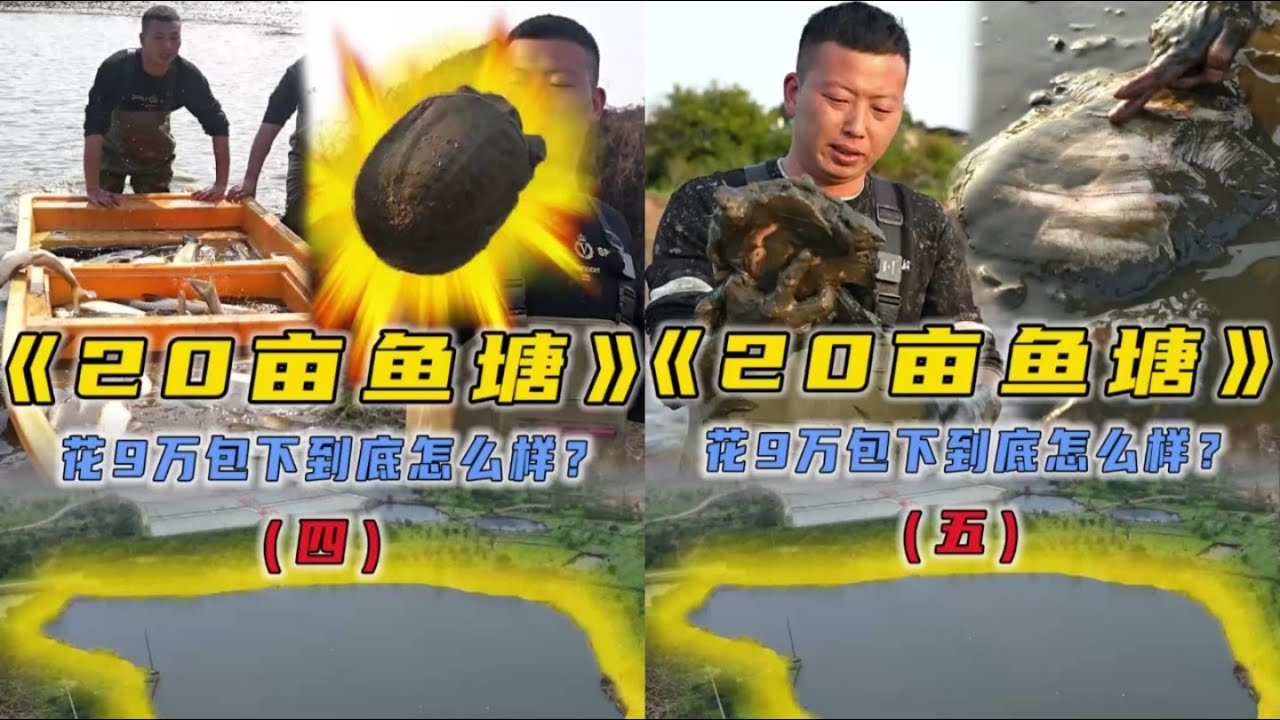 花9万包下个20亩的大鱼塘，里面的鱼到底有多大？#户外抓鱼 #户外捕鱼 #小飞哥抓鱼 #乡村生活 #农村生活