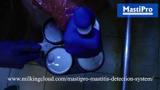 How can you detect Mastitis? | MastiPro | MilkingCloud