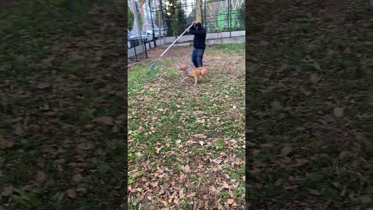 Princess Dirty Red Flirt pole session