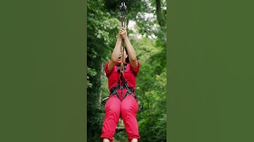 AI Magic: A Zip Line Adventure 🌲✨🛷