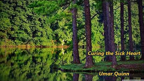 Curing the Sick Heart by Umar Quinn