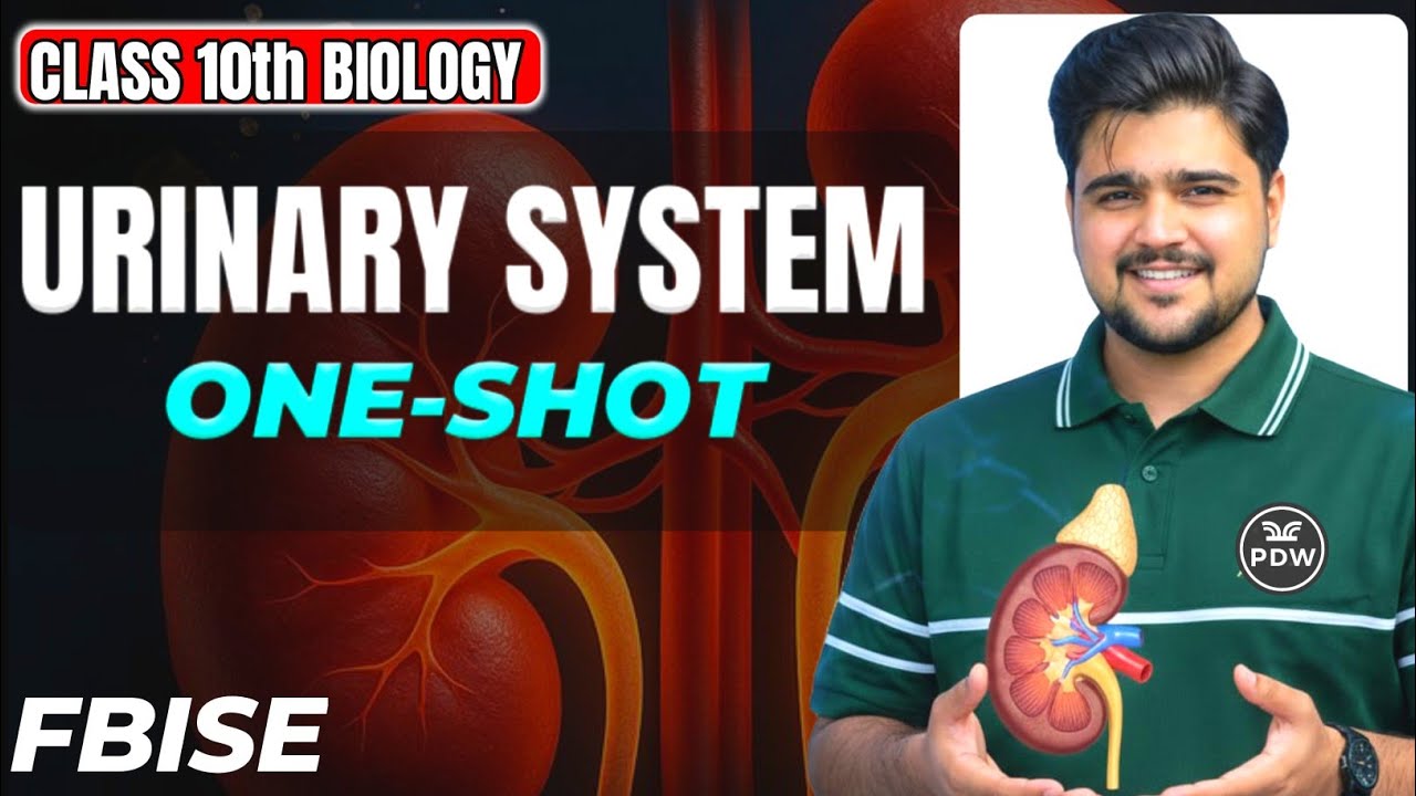 Urinary System One Shot | Full Urinary system in 30 Minutes | Class 10 Biology | PDW
