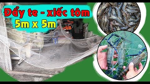 Lưới Đẩy Te [ 5mx5m ] - Xiếc Cào Tôm , Tép _ hàng đẩy tay hiệu quả | LH : 0987.782.098