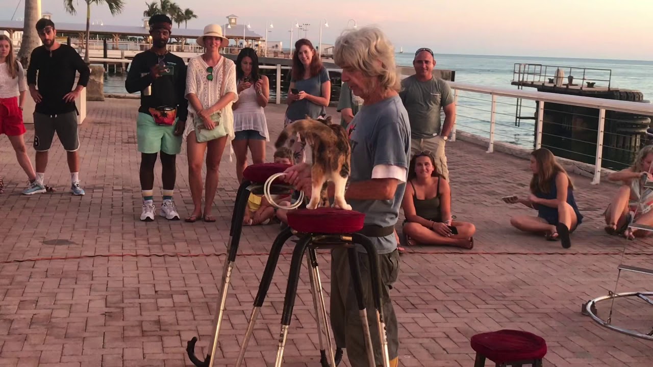 Key West Sunset Entertainment YouTube