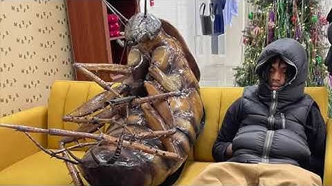 SNOT - DISTORTED (Reupload)