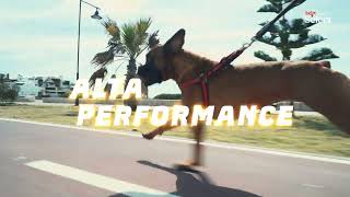 Quatree Select Power: for high-performance dogs!