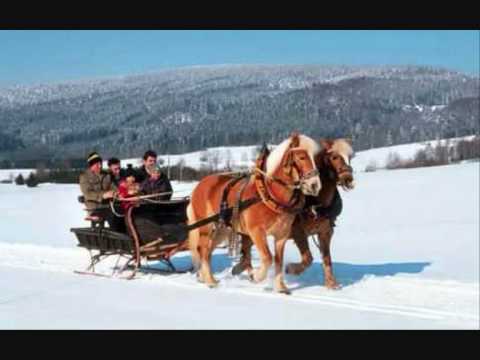 Hubert Wolf - Schlittenfahrt im Winterwald