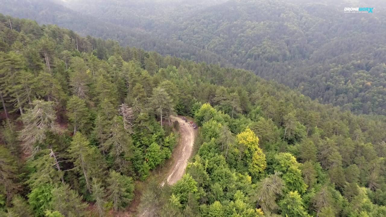 Motorcycles on a Greek forest fly away - drone teaser