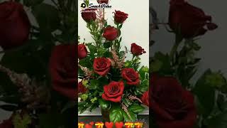 VID 20201102 WA0000 00