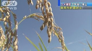 コメの減反を5年後に廃止　政府が方針固める(13/11/06)