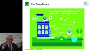 Professor Cedo Maksimovic's presentation at The Sustainable Green Infrastructure Conference
