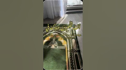 وإذا ذكر الله وحده اشمأزت قلوب الذين لا يؤمنون/القارئ ماهر المعيقلي #قرآن