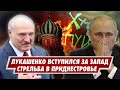 Лукашенко повернулся задом к Путину.  Стрельба в Приднестровье. IT в Беларуси ВСЁ!
