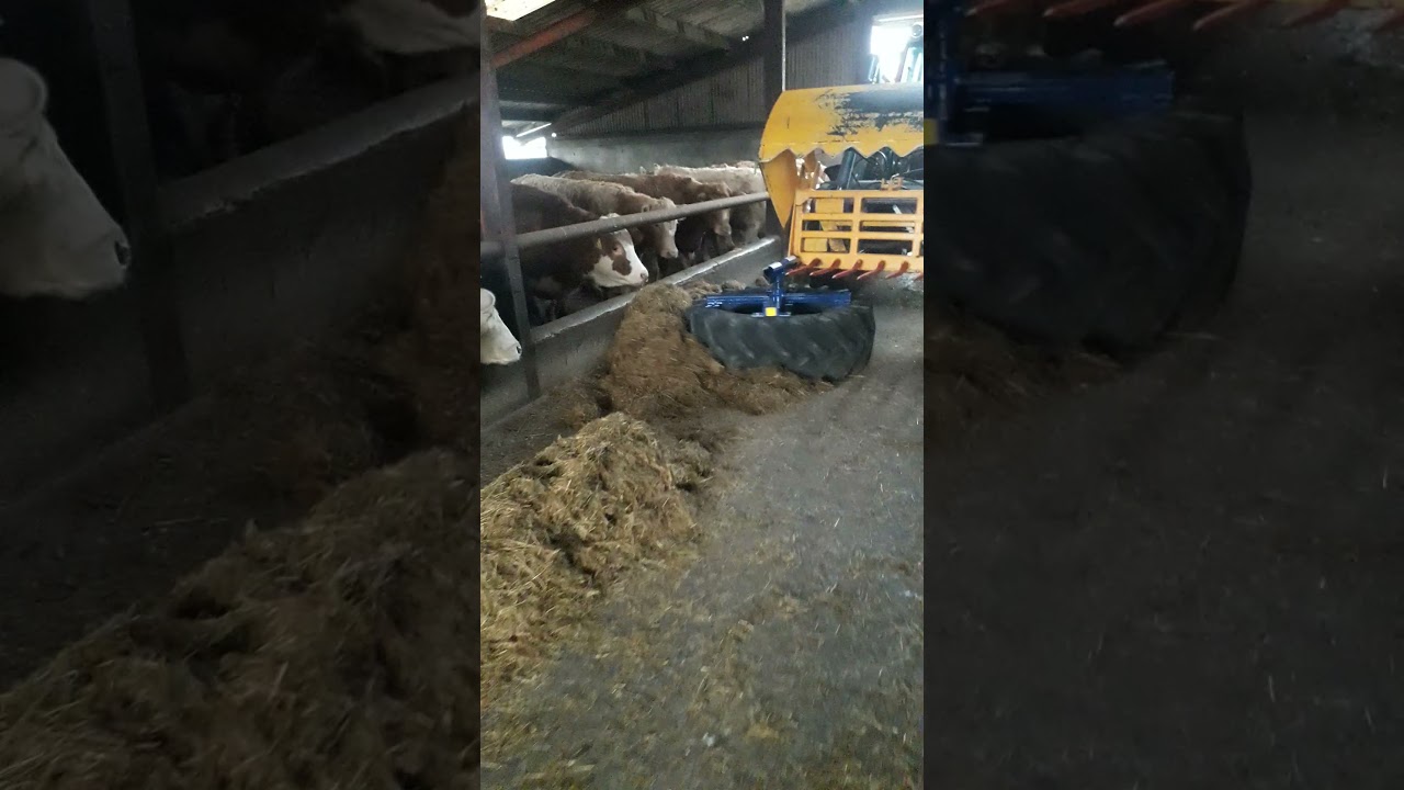 SWT - silage pusher