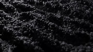 The Dynatrace Difference