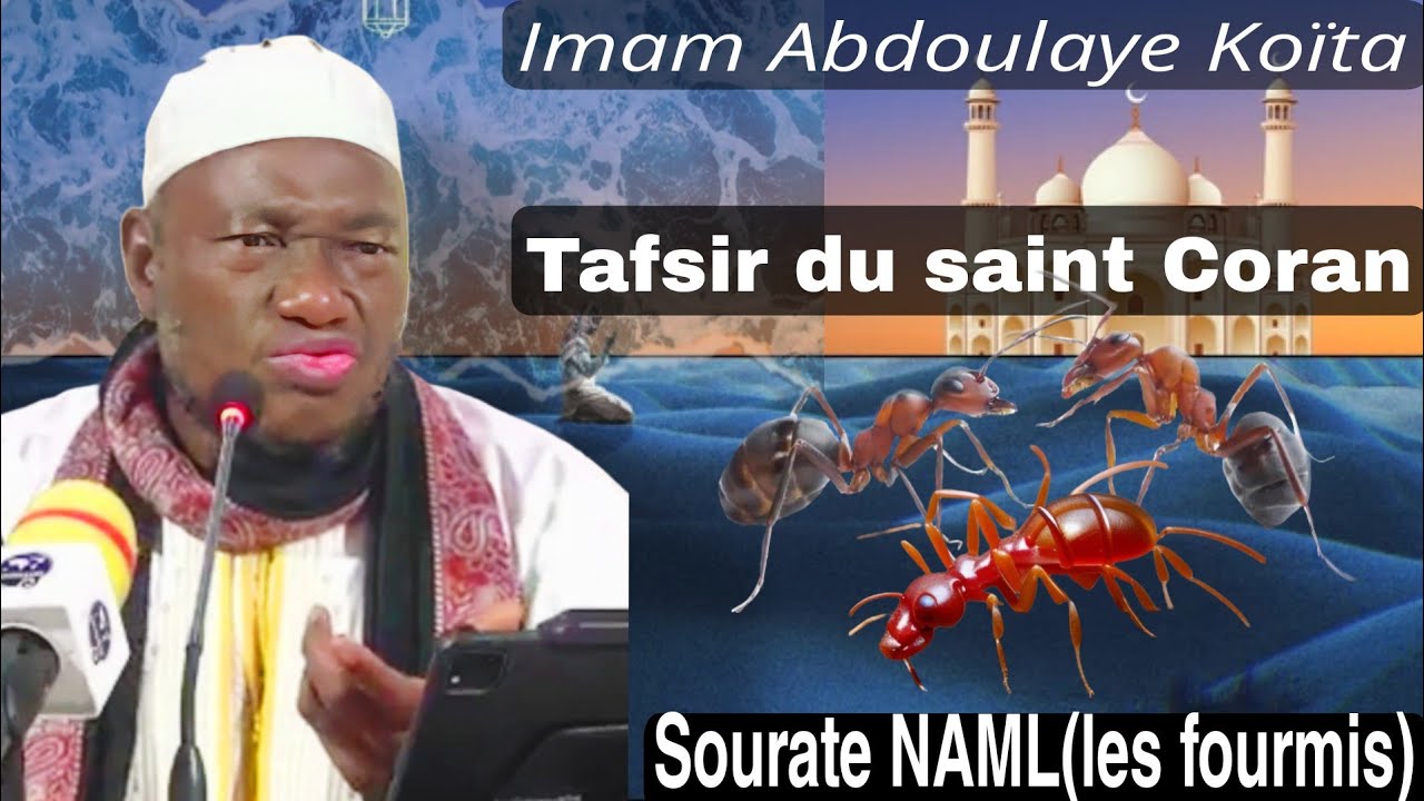 Imam Abdoulaye Koita Tafsir du Sourate NAML les fourmis, conseils sociales et familiales