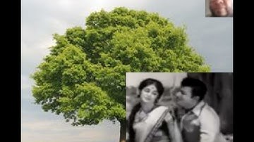 Ondre Ondru Nee Thara Vendum Song Karaoke For Male Singers.