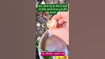 बेलपत्र के पेड़ के नीचे दो बाती का दिया 🪔 लगाने से हर दुःख होंगे समाप्त ~ पंडित #प्रदीप मिश्रा #upay