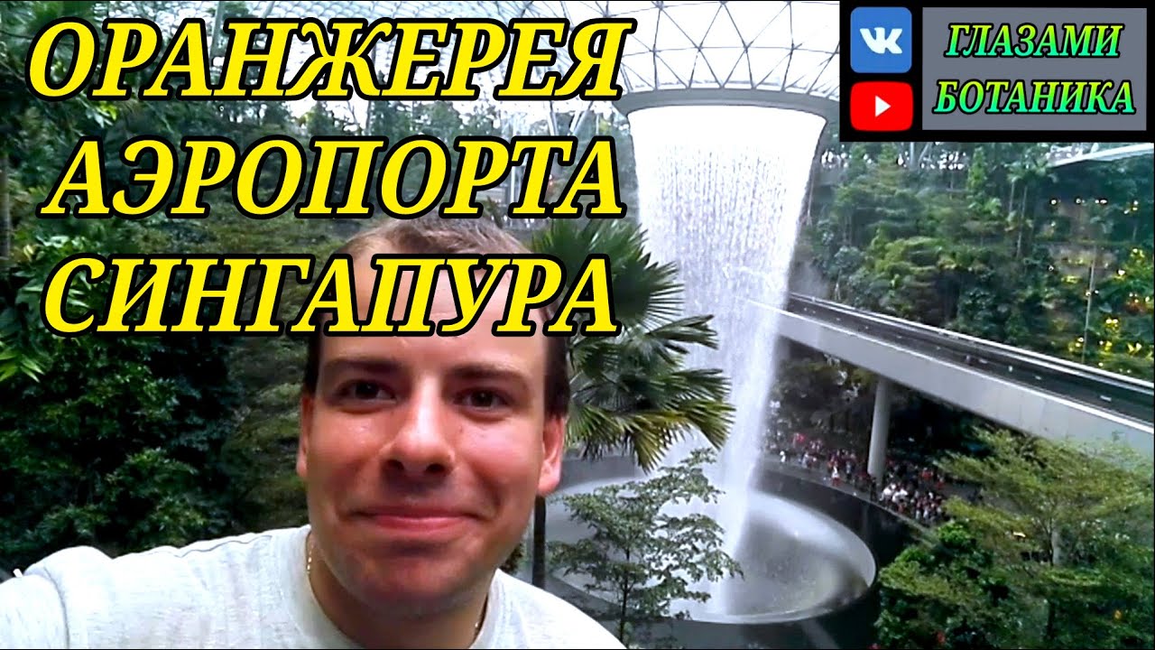 ОРАНЖЕРЕЯ АЭРОПОРТА СИНГАПУРА ГЛАЗАМИ БОТАНИКА – Сад / Водопад / Пальмы ...