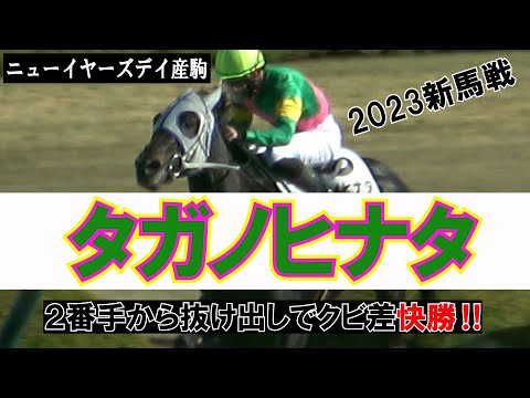 サトノダイヤモンド 新馬戦〜天皇賞・春２歳から４歳国内全１０戦現地単勝馬券セット ゴールドシップ産駒、待望の初勝利によせて〜サトノゴールド