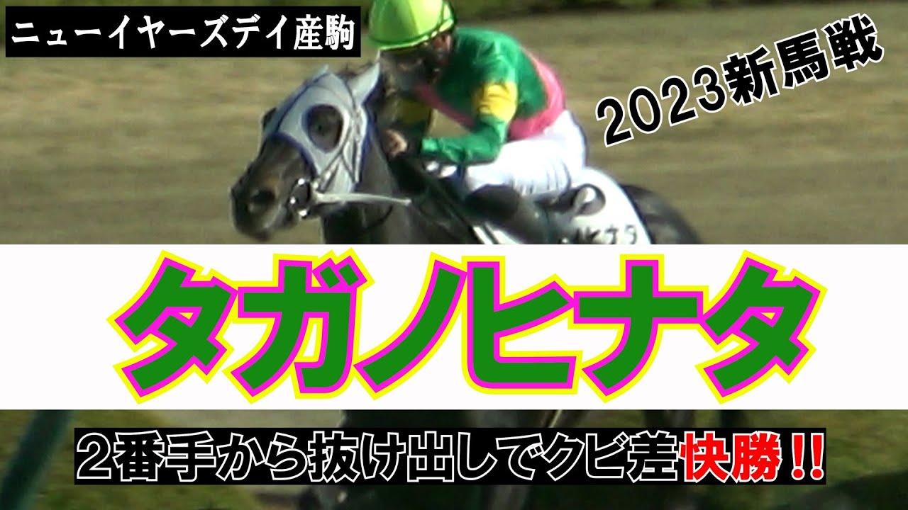 新馬戦】2番手から抜け出しでクビ差で快勝‼ 現地映像