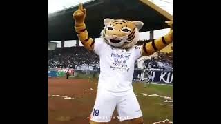 Download Lagu Story wa (PERSIB) persib juara deui mang MP3 Download Lagu Story wa (PERSIB) persib juara deui mang MP3