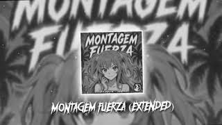 MONTAGEM FUERZA EXTENDED GREY