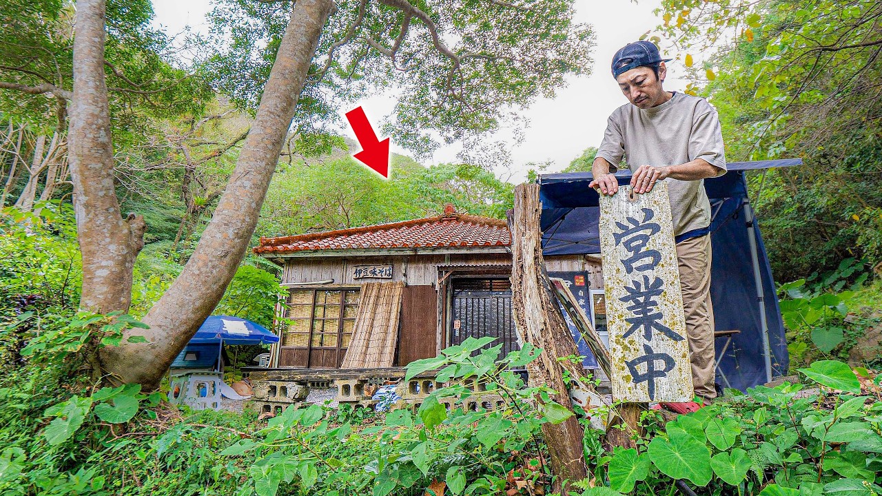 【沖縄 本部町】やんばるの森にポツンと現れる