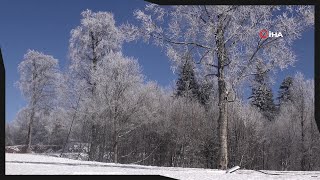 Beyaz Örtü İle Kaplanan Kartepede Gece Başlayacak Yağış Bekleniyor
