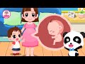 Tớ Sắp Có Em Rồi | Sự Ra Đời Của Em Bé | Trò Chơi Babybus