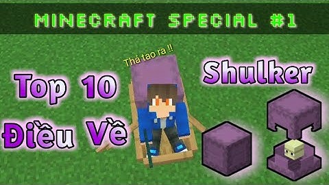 Top 10 điều có thể bạn chưa biết về Shulker (Minecraft Special)