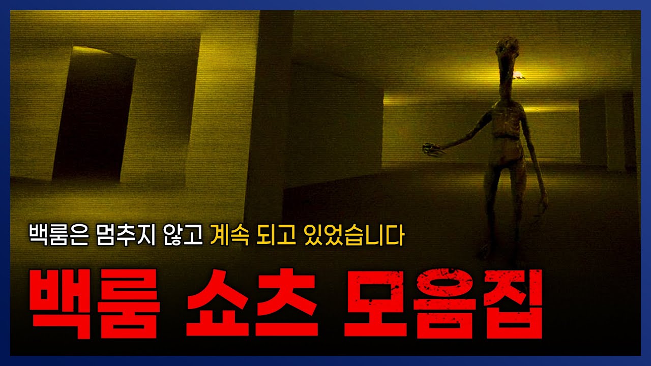 네이버 인플루언서 [네이버 인플루언서] 백룸 쇼츠 모음 #1 || 세모미