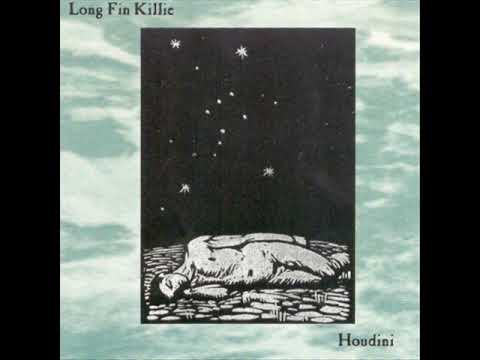Long Fin Killie — long fin killie - homo erectus